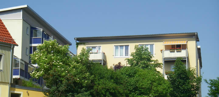 2/27Markt/IMGP4448.jpg